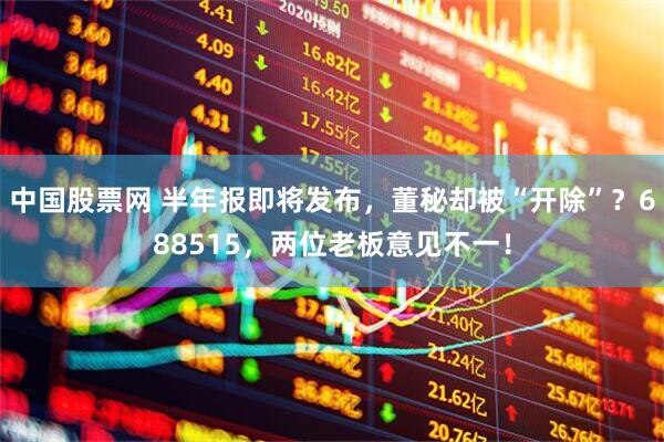 中国股票网 半年报即将发布，董秘却被“开除”？688515，两位老板意见不一！