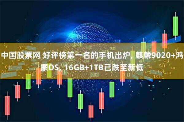 中国股票网 好评榜第一名的手机出炉, 麒麟9020+鸿蒙OS, 16GB+1TB已跌至新低