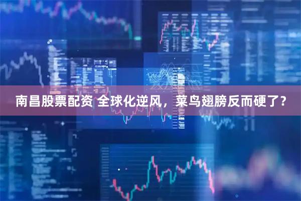 南昌股票配资 全球化逆风，菜鸟翅膀反而硬了？