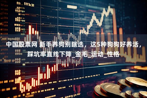 中国股票网 新手养狗别瞎选，这5种狗狗好养活，踩坑率直线下降_金毛_运动_性格