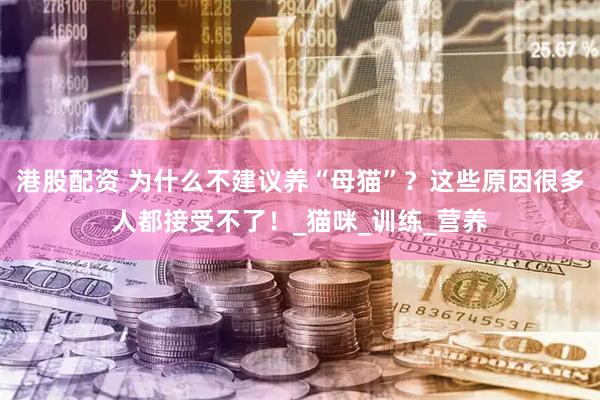 港股配资 为什么不建议养“母猫”？这些原因很多人都接受不了！_猫咪_训练_营养