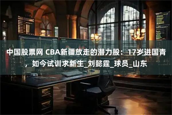中国股票网 CBA新疆放走的潜力股：17岁进国青，如今试训求新生_刘懿霆_球员_山东